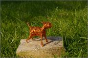 060617-Copper_dog_on_grass